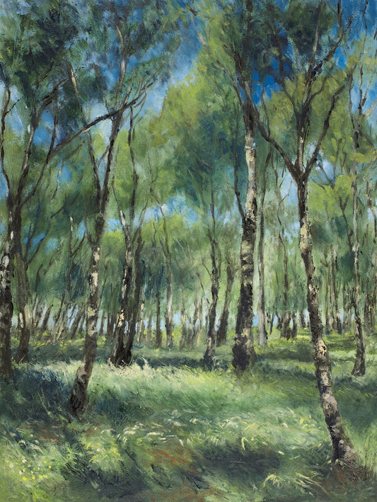 A fine art print depicting UK silver birch and grasses with dappled light and blue sky